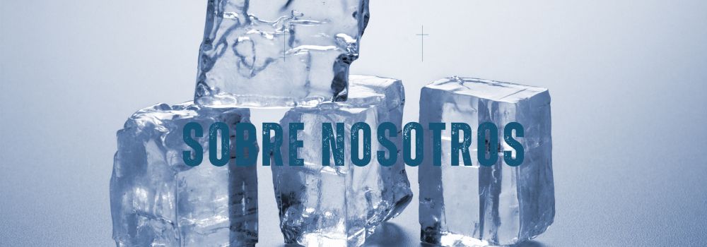 nosotros